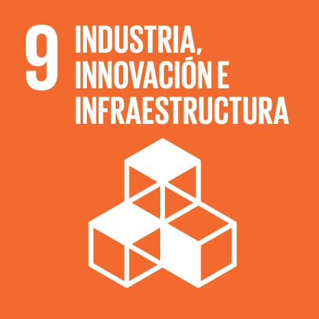 ONU SDG 9 Icon