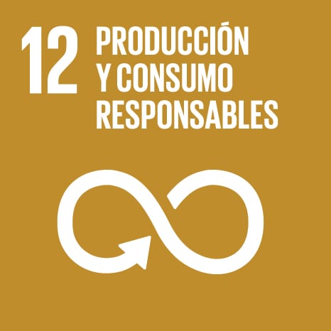 ONU SDG 12 Icon