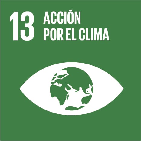 ONU SDG 13 Icon